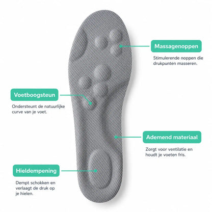 Gray insole with text labels on a white background